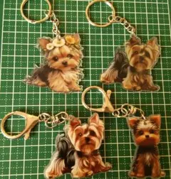 Item thumbnail for item 58f3904e-36ff-422e-96ae-ec96e8f819b1