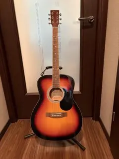 レッド アコースティックギター T-P2 STR タカミネ Takamine - メルカリ