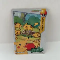 ピカチュウの森だ　カードダス