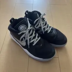 Item thumbnail for item 8a9540ce-079f-49de-9c21-0fe528b4b856