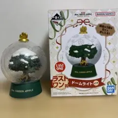 Mrs. GREEN APPLE ドームライト LAST ONE賞