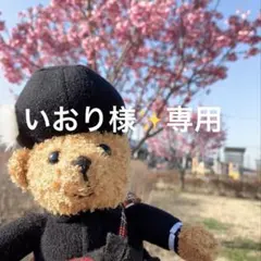 【いおり様専用】てのりぬいぐるみ✨たぴおか(こーん)✨【3個セット❣️】