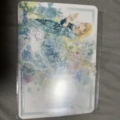 復讐を誓った白猫は竜王の膝の上で惰眠をむさぼる 特典 アニメイト