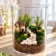 山ちゃんオーダー品　苔テラリウム　コケリウム　我が家の小さなオアシス 苔テラリウム コケリウム 心癒す我が家のオアシス - メルカリ