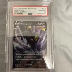 ブラッキーV RR PSA10