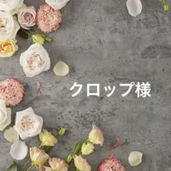 クロップ様 リクエスト 4点 まとめ商品