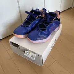 DQ4123-400 AIRJordan XXXVⅡ LOW PF27.0cm