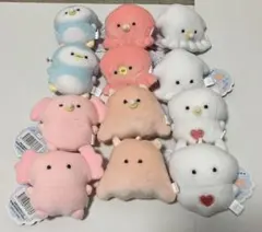 つぶらな瞳の水族館 むぎゅぬい ぷちマスコットBC 全12種類セット