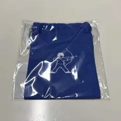 当時物】平成レトロ 希少 ポケモンセンター製 ポケセン 巾着 ワニノコ