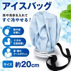 GOOD COMFY COOL TODAY アイスバッグ 氷のう氷嚢約20cmのサムネイル