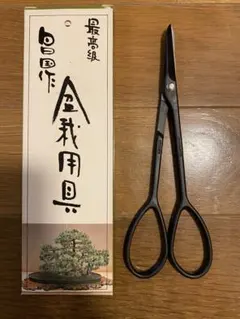 2025年最新】昌国 盆栽の人気アイテム - メルカリ