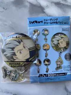 ハイキュー!! トレーディングチャーム付き缶バッジ vol.2 木兎　光太郎