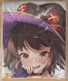 pixel phantom】 東方Project 洩矢諏訪子 抱き枕カバー - メルカリ