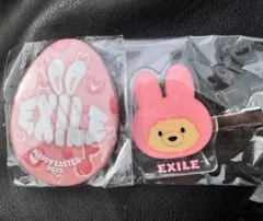 トラステ カプセル ガチャ EXILE ヘアクリップ 缶バッジ イースター