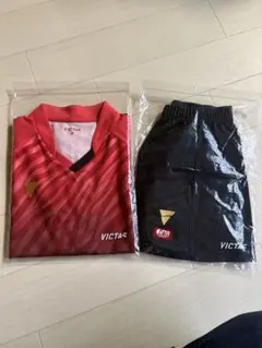 413☆サッカー☆アルゼンチン代表☆CRESPO☆prostars☆フィギュア