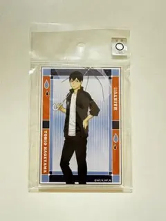 ハイキュー!! 影山飛雄 パネルスタンドmini