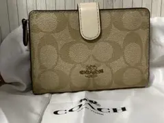 Item thumbnail for item 68516b01-6fbc-4ccd-a81d-96b69e0ef9c3