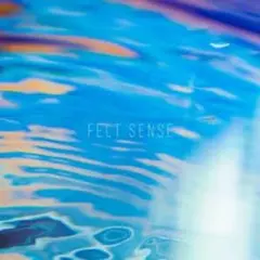 【匿名配送】【新品・未開封】moumoon FELT SENSE CD