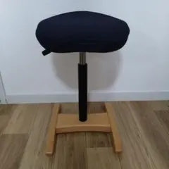 【カバー洗濯済】バランスシナジー ラウンド