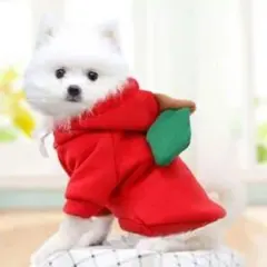 可愛すぎる！りんご柄 犬服 セーター パーカー ペット服 ドッグウェア 秋冬 Lのサムネイル