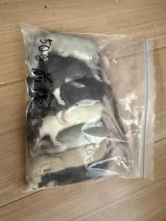 냉동 쥐 파충류 양서류 식품