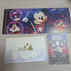 ディズニーリゾートライン フリーきっぷビッグバンドビート、パンフレットBBB