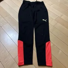 PUMA ピステパンツ ブラック×レッド