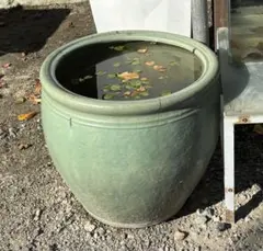 メダカ鉢　水鉢 睡蓮鉢 陶器製 園芸用品 メダカ飼育