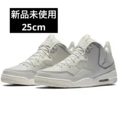 新品未使用 完売品 NIKE JORDAN COURTSIDE 23 25cm