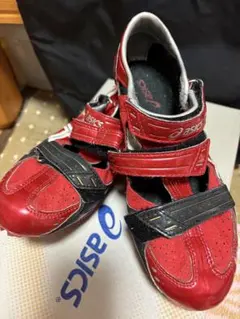 Item thumbnail for item 2cde4d0d-65cb-454b-af4b-cbbf2dbe65d2