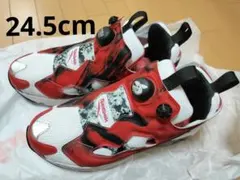 【稲葉浩志×Reebok スニーカー】