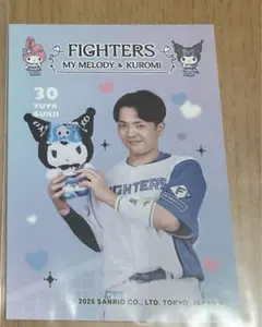 Item thumbnail for item 3b7399bc-a47c-4e48-a038-be8e885f7be3