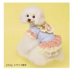 【新品未使用】GODPIVAゴッドピバ いちごフリルop M 水色