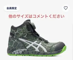 2026年最新】cp304 26.5の人気アイテム - メルカリ