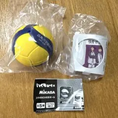 ハイキュー‼︎×MIKASA コラボBOX付きボール 白鳥沢学園高校
