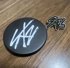 StrayKids スキズ FC入会特典