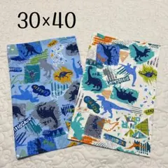 ランチョンマット 30×40 2枚セット　恐竜柄　色違い　男の子用　男児　給食用