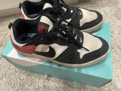 nike アリウープ
