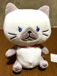ふくふくにゃんこ おすわり マスコット シャーシャ ぬいぐるみ タグ付きのサムネイル