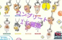 つまんでつなげてますこっと　SKZOO コンプ １６種類