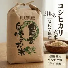 2026年最新】長野県産コシヒカリの人気アイテム - メルカリ
