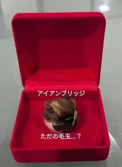 プラクルアン パヤスア 虎の力 魅力 恋愛 金運 ビジネス 守護 御守り プラクルアン パヤスア 虎の力 魅力 恋愛 金運 ビジネス 守護 御