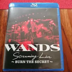 WANDS CD】 Shooting star アクリルスタンド付 10セット - メルカリ