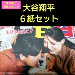 ③１１月１４日１５日　スポーツ新聞　大谷翔平　６紙セット