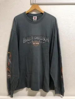 Item thumbnail for item 3326b347-4ae5-4a20-939f-e4c725923151