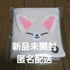 Stray Kids スキズ アイエン フォクシニー IDカードケース Stray Kids スキズ フォトカードケース アイエン フォクシニー - メルカリ
