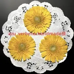 azu_verbena.handmade様 リクエスト 2点 まとめ商品
