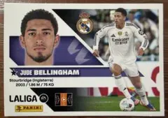 PANINISPORTS 2026-27 レアルマドリードパック