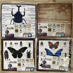 藍様 リクエスト 3点 まとめ商品