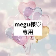 megu様 リクエスト 2点 まとめ商品